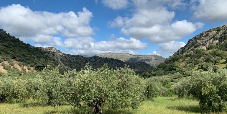 IMG_7036