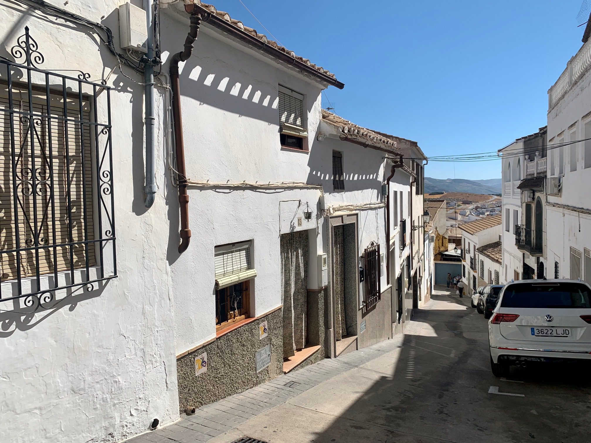 La Pintora