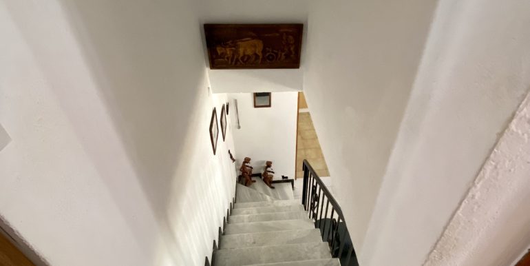 IMG-6512