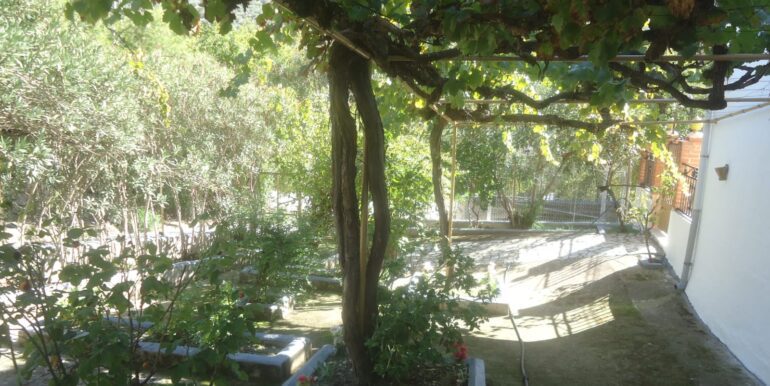 IMG-20240719-WA0178