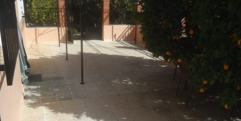 IMG-20240719-WA0186