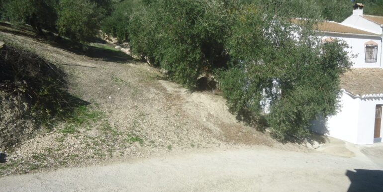 IMG-20240719-WA0241
