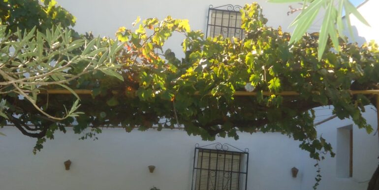 IMG-20240719-WA0275