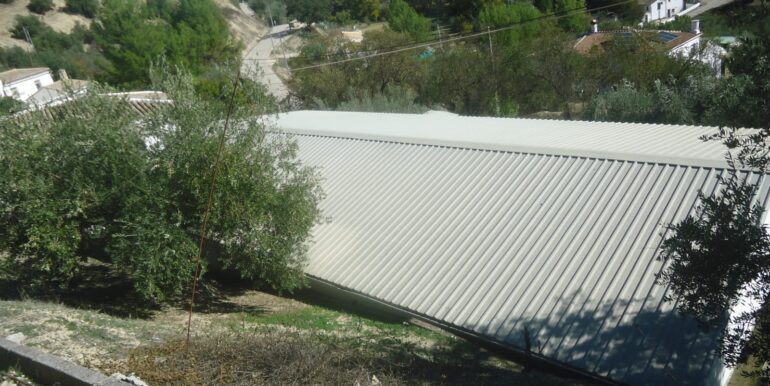 IMG-20240726-WA0009
