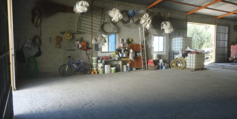 IMG-20240726-WA0010