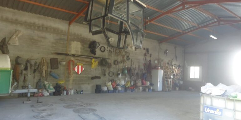 IMG-20240726-WA0011