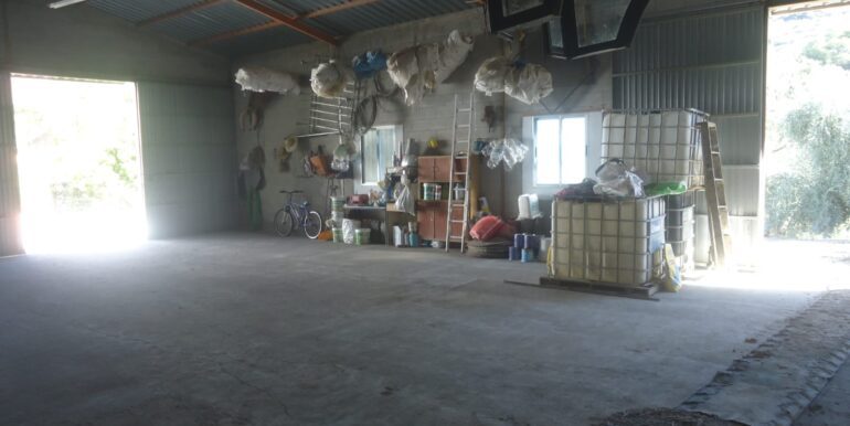 IMG-20240726-WA0013