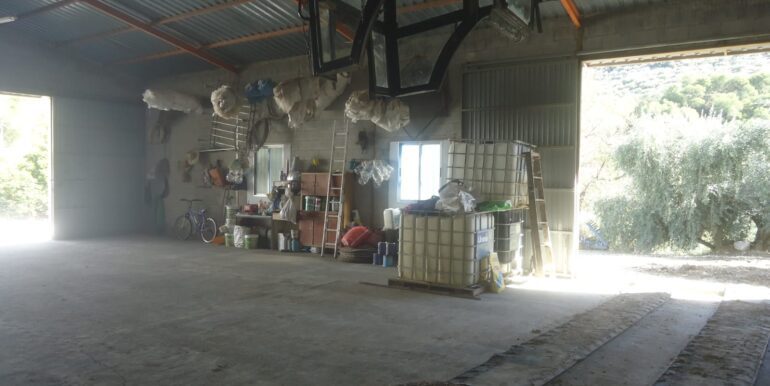 IMG-20240726-WA0014