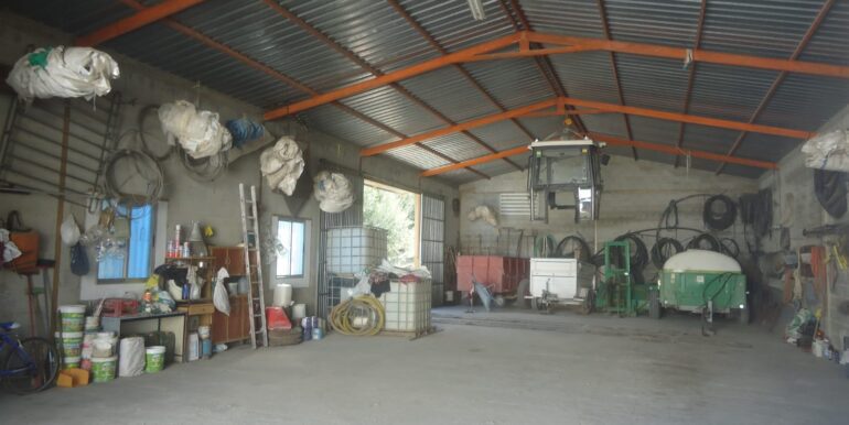 IMG-20240726-WA0015