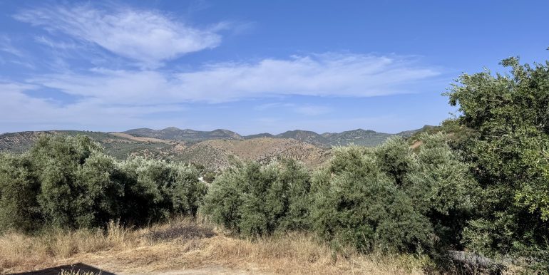 IMG_4490