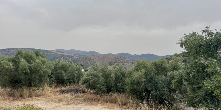 IMG_4796