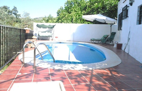 3.  Pool and patio
